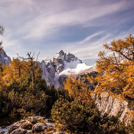 Apartma Andrej Rateče