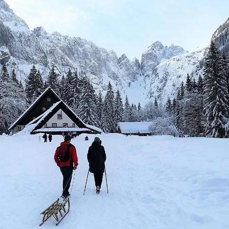 Apartma Andrej * Ratece