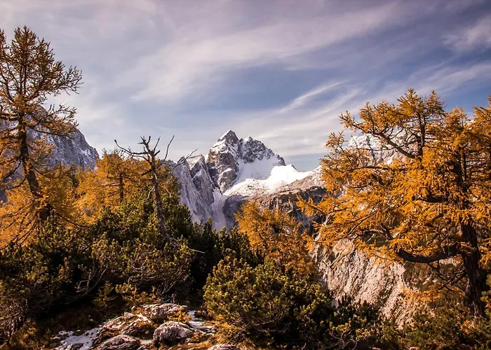 Apartma Andrej Rateče